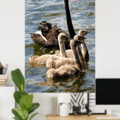 Poster Cygne noir (Bureau à domicile)
