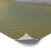 Poster Cygne noir (Coin)