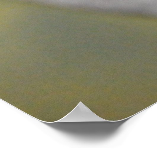 Poster Cygne noir (Coin)