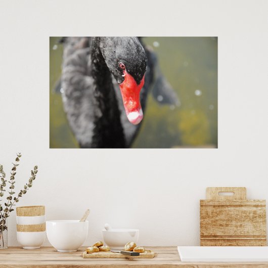 Poster Cygne noir (Cuisine)