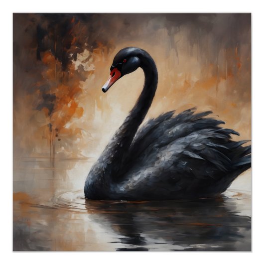 Poster Cygne noir 3 (Devant)