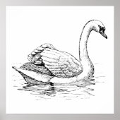 Poster Cygne noir et blanc (Devant)
