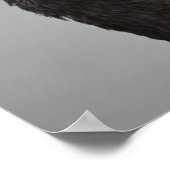 Poster Cygne noir exotique (Coin)