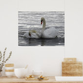 Poster Cygnes (Cuisine)