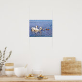 POSTER CYGNES (Cuisine)
