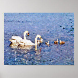 POSTER CYGNES
