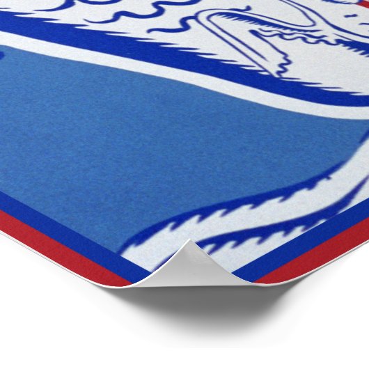 Poster Cygnes (Coin)