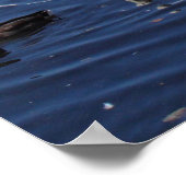 Poster Cygnes et autres oiseaux à Roath Park Lake Cardiff (Coin)