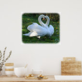 Poster Cygnes muets 9Y098D-012 (Cuisine)