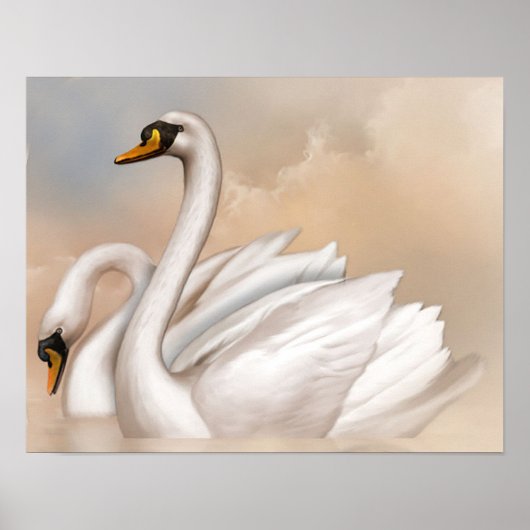 Poster Cygnes sur un lac (Devant)