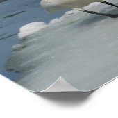 Poster Cygnes trompettes dans le nord du Michigan (Coin)