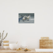 Poster Cygnes trompettes dans le nord du Michigan (Cuisine)