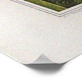 Poster Cygnes vintages, nénuphars et libellules (Coin)