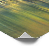 Poster Cyprès Bald Arbres | Horseshoe Lake Illinois (Coin)