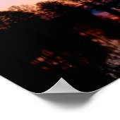 Poster Cyprès Bald Arbres | Réserve nationale de faune, T (Coin)