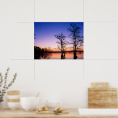 Poster Cyprès Bald Arbres | Réserve nationale de faune, T (Cuisine)