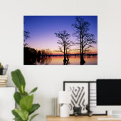 Poster Cyprès chauves silhoués au coucher du soleil, (Bureau à domicile)