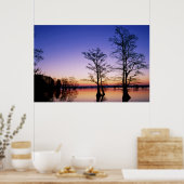 Poster Cyprès chauves silhoués au coucher du soleil, (Cuisine)