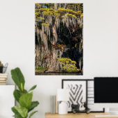 Poster Cyprès en étang dans un marécage inondé (Bureau à domicile)