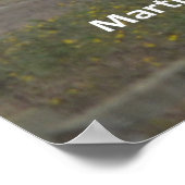 Poster Cyprès Monterey (Coin)