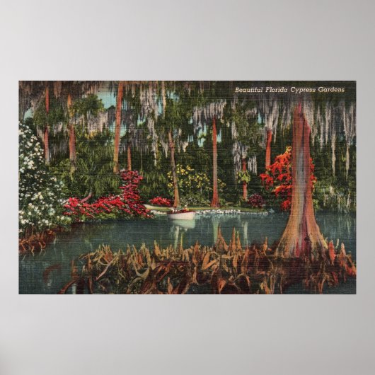 Poster Cypress Gardens Florida (Devant)