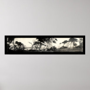 Poster Cypress Point Monterey Photo 1907