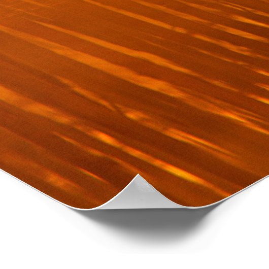 Poster Cypress Trees | George Smith State Park (Coin)