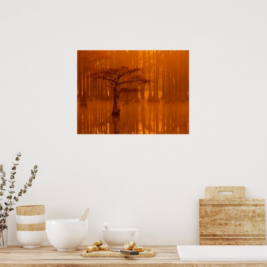 Poster Cypress Trees | George Smith State Park (Cuisine)