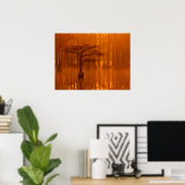 Poster Cypress Trees | George Smith State Park (Bureau à domicile)