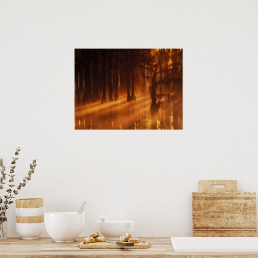 Poster Cypress Trees | Parc d'état George Smith (Cuisine)