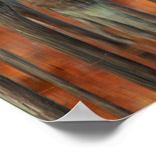 Poster Cypress Trees | Parc d'état George Smith, Géorgie (Coin)