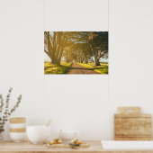 Poster Cypress Tunnel Point Reyes (Cuisine)