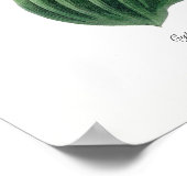 Poster Cypripedium macranthos (Coin)