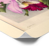 Poster "Cypripedium Stonei", Linden Orchid (Coin)