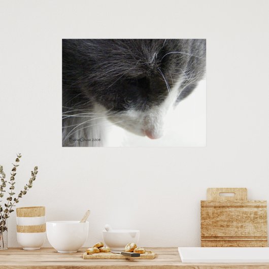 Poster C'zer 1 (Cuisine)