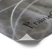 Poster C'zer 1 (Coin)