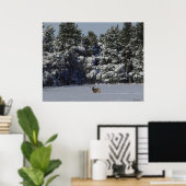 Poster D17 Mule Deer Buck in Snowy SpruceTrees (Bureau à domicile)