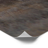 Poster D4 Cerf mulet Sweet Grass Hills (Coin)