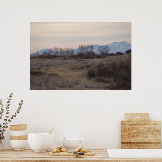 Poster D4 Mule Deer Sweet Grass Hills (Cuisine)
