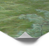 Poster D6 Cerf à queue blanche langue sortie (Coin)