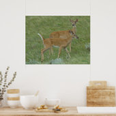 Poster D6 Élimination de la langue du cerf de Virginie (Cuisine)