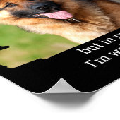 Poster D Pet Photo Funny Dog Dad (Coin)