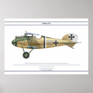 Poster D.V Jasta 21