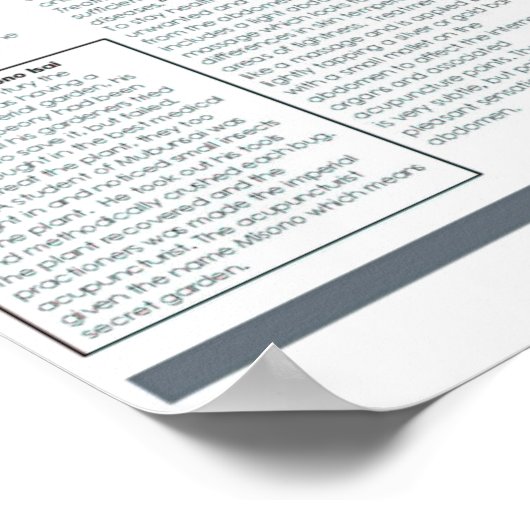 Poster Da Shin (Coin)