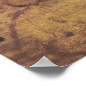 POSTER DA VINCI - LA SCAPIGLIATA (Coin)