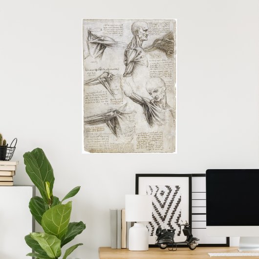 Poster Da Vinci, Léonard - Étude de l'anatomie (Bureau à domicile)