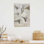 Poster Da Vinci, Léonard - Étude de l'anatomie (Cuisine)
