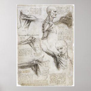 Poster Da Vinci, Leonardo - étude de l'anatomie