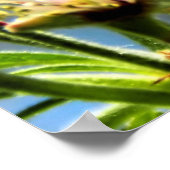 Poster d'abeille de miel et de fleurs de pomme (Coin)