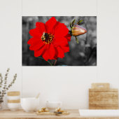 Poster d'abeille sur la Fleur Rouge (Cuisine)